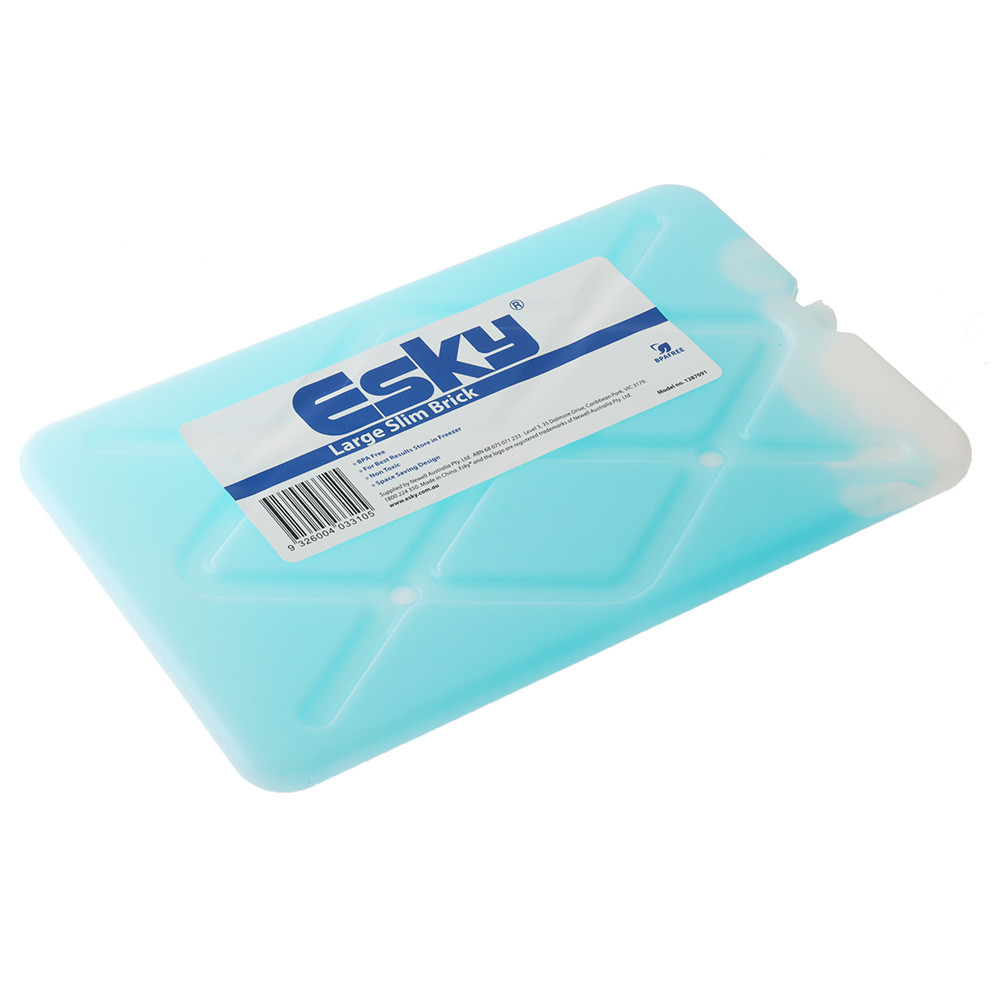 Buy Esky Slim Ice Brick Large online at