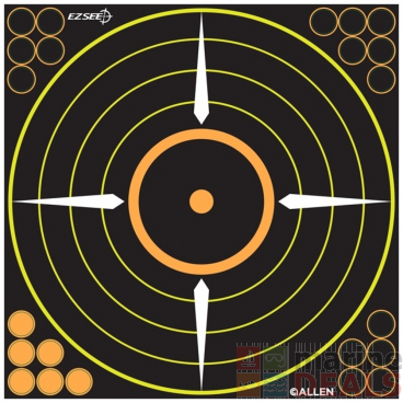 Allen EZ Aim Splash Bullseye Target 12x12in