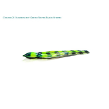 Bonze BS6 Game Lure Replacement Skirt 245mm 21 Fluorescent Green/Silver/Black Stripes