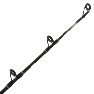 Buy PENN Squall 30 Lever Drag Overhead Boat Combo 6ft 6in 6-10kg 1pc online  at