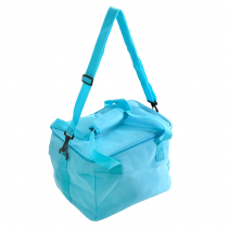 Picnic Cooler Bag 16L