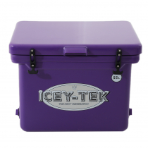 Icey-Tek Cube Chilly Bin 55L Purple