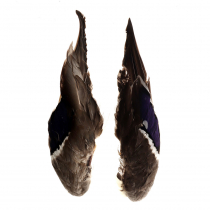 Wapsi Mallard Duck Wings Matching Pair
