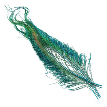 Wapsi Peacock Sword Feathers