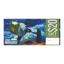 Marine Deals $20 Gift Voucher with Sleeve - Game On
