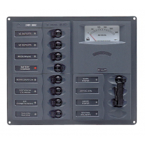 AC Circuit Breaker Panel with Analog Meters - 8SP 2DP AC230V