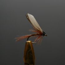Fishfighter Dads Favourite Size 12 Wet Fly