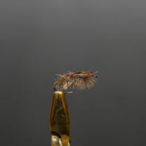 Fishfighter Water Boatman Unweighted Nymph Size 16