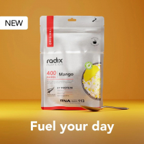 Radix Nutrition Original 9.0 Breakfast Meal Mango 400kcal 92g