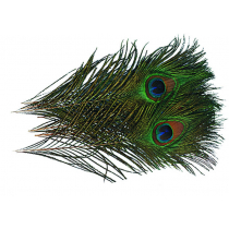 Wapsi Peacock Eyes Natural