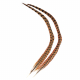 Feather Merchants Pheasant Tails Pair Natural