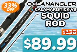 Ocean Angler CalamariStick V3 Squid Rod 8ft 3in PE0.4-1 2pc