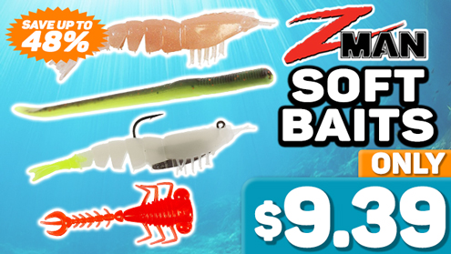 View Deals!
