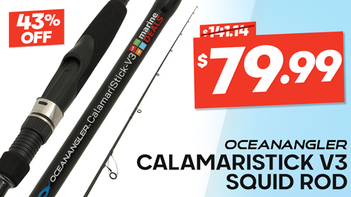 Ocean Angler CalamariStick V3 Squid Rod 8ft 3in PE0.4-1 2pc