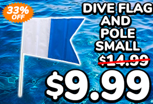 Dive Flag and Pole Small