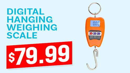 Digital Hanging Weighing Scale 200kg