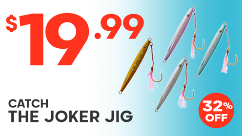 Catch The Joker Jig 400g