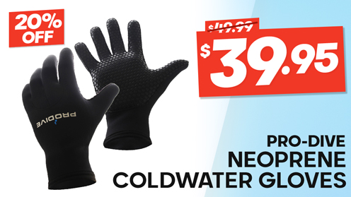 Pro-Dive Neoprene Coldwater Gloves 3mm