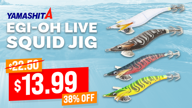 Yamashita EGI-OH LIVE Squid Jig 2.5 75mm