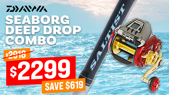 Daiwa Seaborg 1200MJ ST56HT Bent Butt Deep Drop Combo 5ft 6in PE6-10 2pc