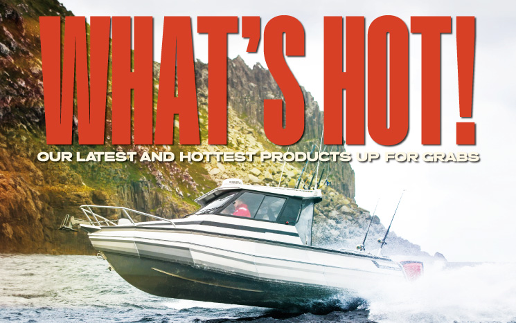 WHAT'S HOT! Banner