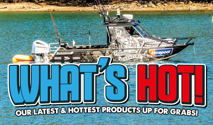WHAT'S HOT! Banner